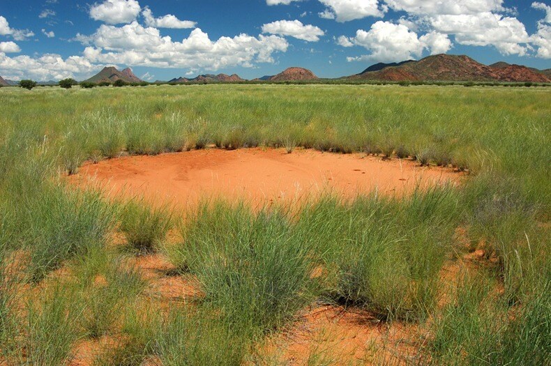 Cercles des Fées, Namibie, Afrique